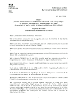 Arrêté interdiction rassemblement auto et artifices