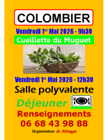 Cueillette muguet (1/05/26)